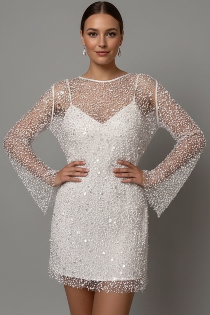 Women's Long Sleeve Dress | Mini Length Round Neckline Mesh